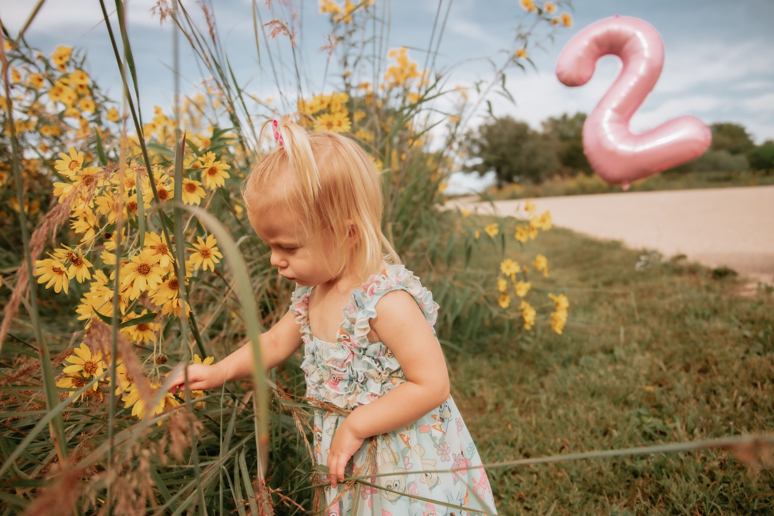 Millie’s Second Birthday Photos