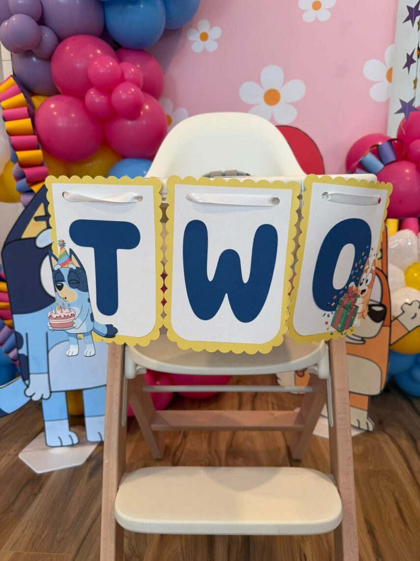Bluey birthday highchair banner